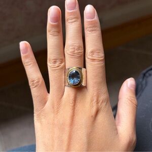 Statement 925 Silver and tanzanite Ring